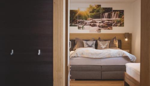 One-Bedroom Apartment with Shower