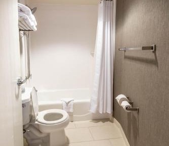 Suite, 2 Queen, Sofa bed