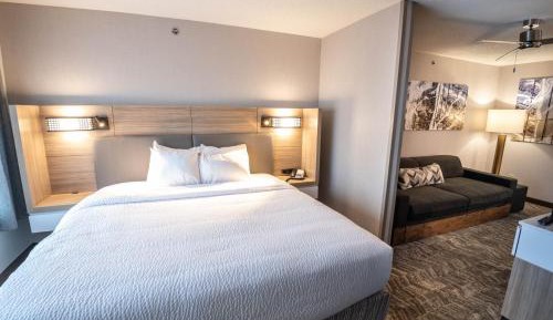 Suite, 1 King, Sofa bed