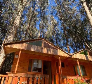 Suite with Garden View