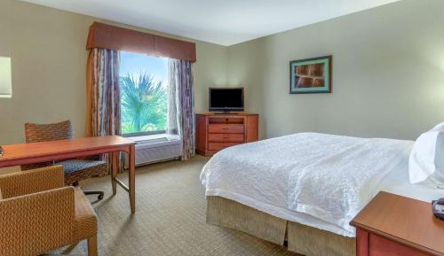 King Room with Refrigerator and Microwave - Non-Smoking 