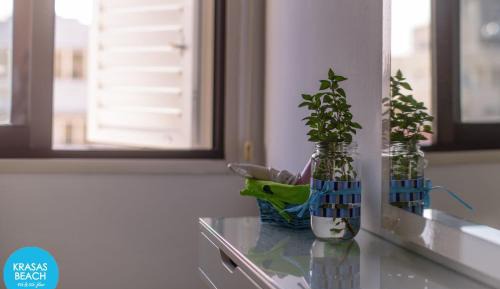 One-Bedroom Apartment with City View