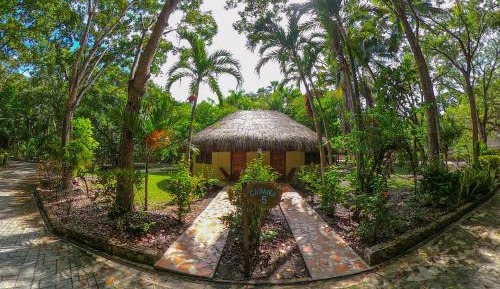 Bunk Bed in Mixed Dormitory Room