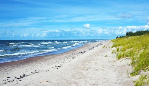 Four-Bedroom Apartment with Balcony 