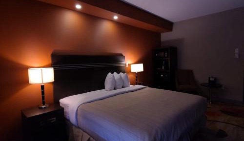Large Single Room