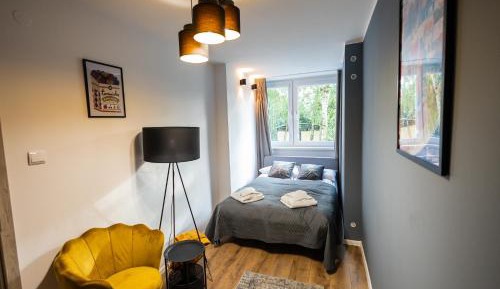 Deluxe Apartment