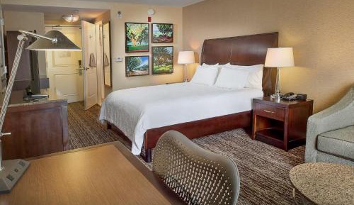 Deluxe King Room with Sofa Bed