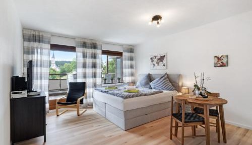 Superior One-Bedroom Apartment with Balcony