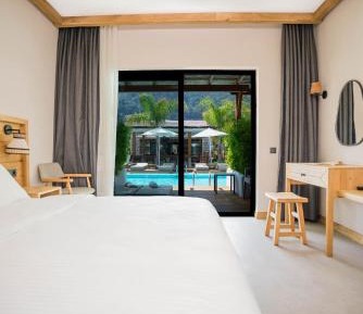 Double Room with Swimming Pool Access