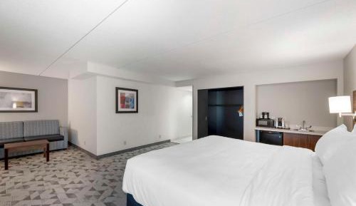 King Suite with Sofa Bed