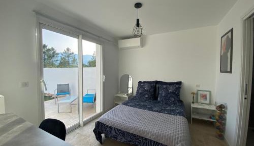 Double Room with Terrace