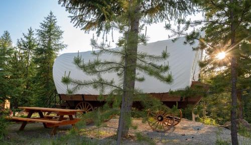 Mobile Home