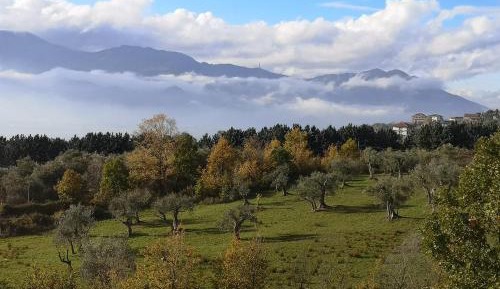 Double or Twin Room with View