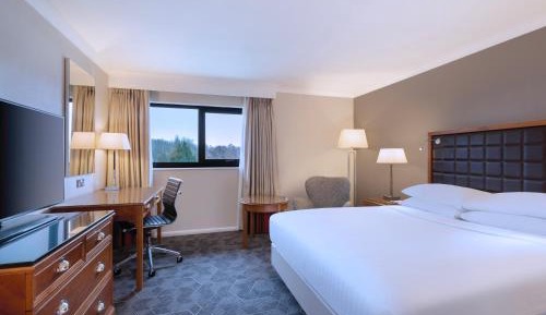 Deluxe King Room with Sofa Bed