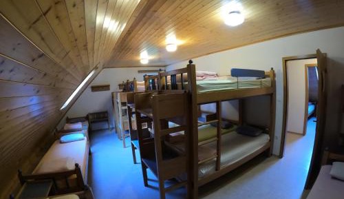 Bunk Bed in Mixed Dormitory Room