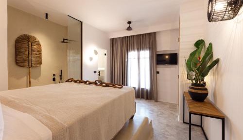 Duplex Apartment