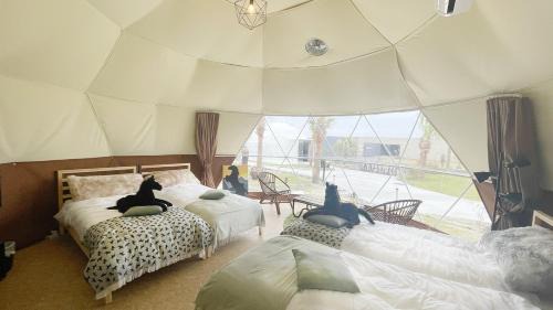 Tent