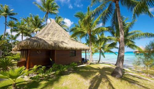 One-Bedroom Bungalow - Beach Front 
