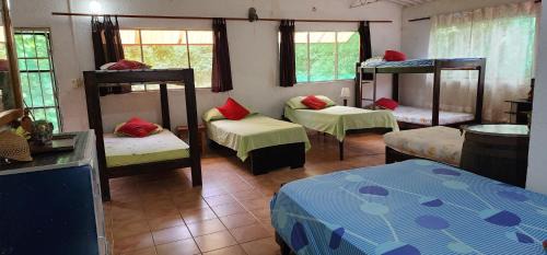 Bed in 10-Bed Mixed Dormitory Room