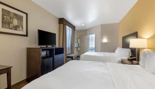 King Room with Roll in Shower - Mobility Accessible
