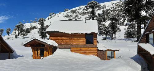 Bungalow (7 Adults)