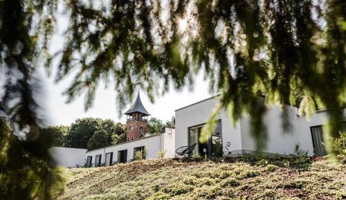 Studio - Disability Access