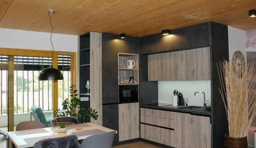 One-Bedroom Apartment with Sauna
