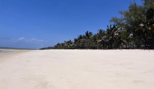 Apartment with Garden View