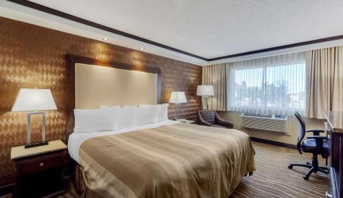 One-Bedroom King Suite with Kitchenette - Non-Smoking