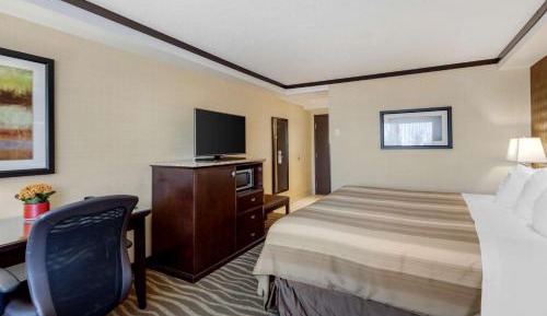 Executive King Room - Non-Smoking
