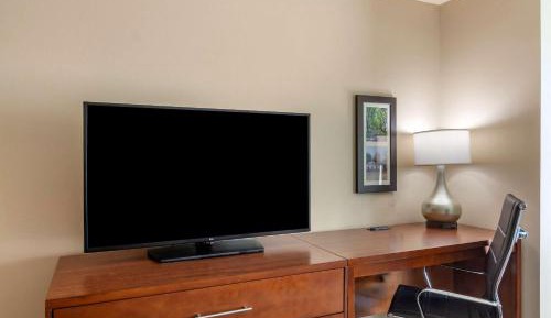 Large One Room Suite with Two Queen Beds and Sofa bed - Non Smoking