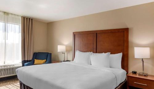 One Room Suite with Sofa bed - Non Smoking