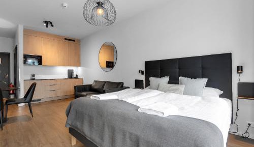 King Studio with Sofa Bed