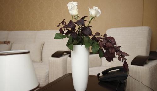 Double Room with Free Spa Access