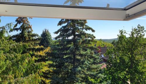 Apartment with Mountain View