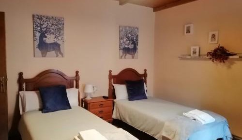 Double or Twin Room with Balcony