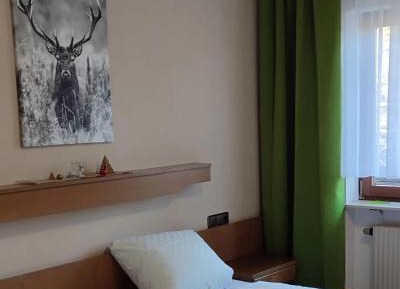 Double or Twin Room with Shower