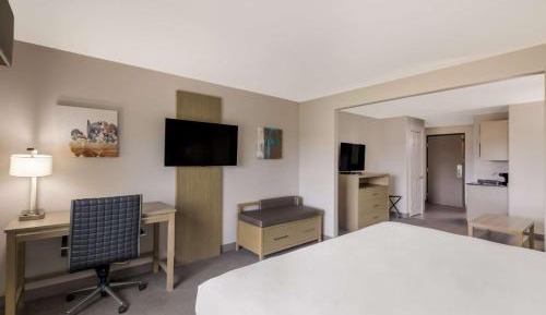 King Suite with Sofa Bed