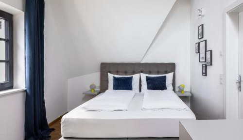 Large Studio with Kitchen and Sofa Bed