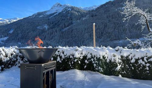 Apartment with Mountain View