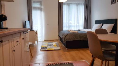 King Studio with Sofa Bed