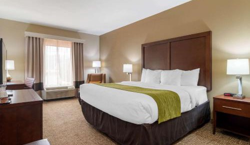 King Room with Roll-In Shower - Disability Access/Non Smoking