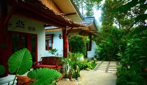 King Room with Garden View