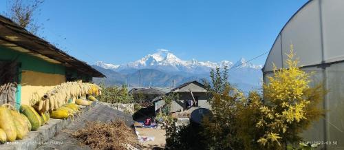 Triple Room with View