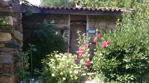 One-Bedroom Standard Apartment