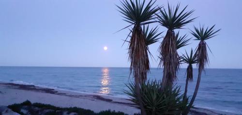 Apartment with Mountain View