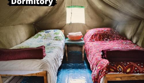 Bed in 4-Bed Mixed Dormitory Room