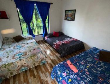 Budget Double Room