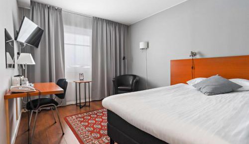 Superior Single Room - No pets allowed