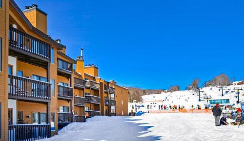 One Bedroom Apartment